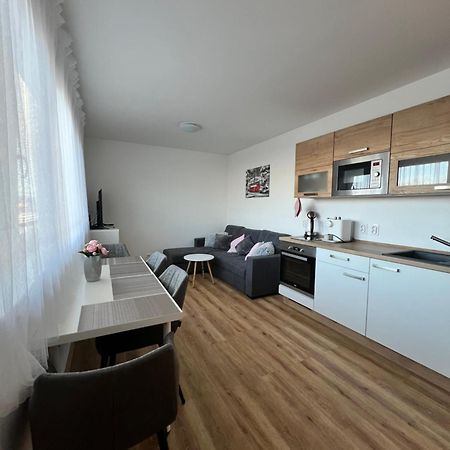 Apartman Roda2 Male Lipno Černá v Pošumaví Екстериор снимка