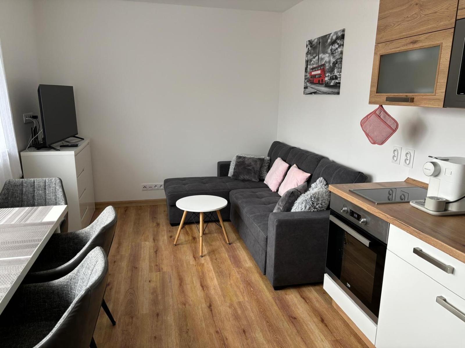 Apartman Roda2 Male Lipno Černá v Pošumaví Екстериор снимка